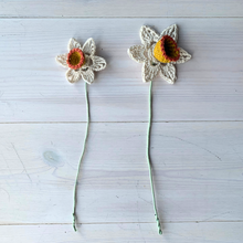 Load image into Gallery viewer, Daffodil Flower Crochet Kit-Interior Gifts-EKA