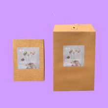 Load image into Gallery viewer, Daffodil Flower Crochet Kit-Interior Gifts-EKA