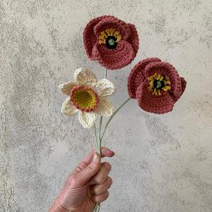 Poppy Crochet Craft Kit-Crafting Patterns-EKA