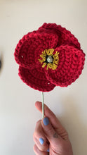 Load and play video in Gallery viewer, Poppy Crochet Craft Kit
