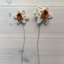Load image into Gallery viewer, Daffodil Crochet Pattern Digital Download-EKA
